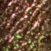 Swamp swatch
